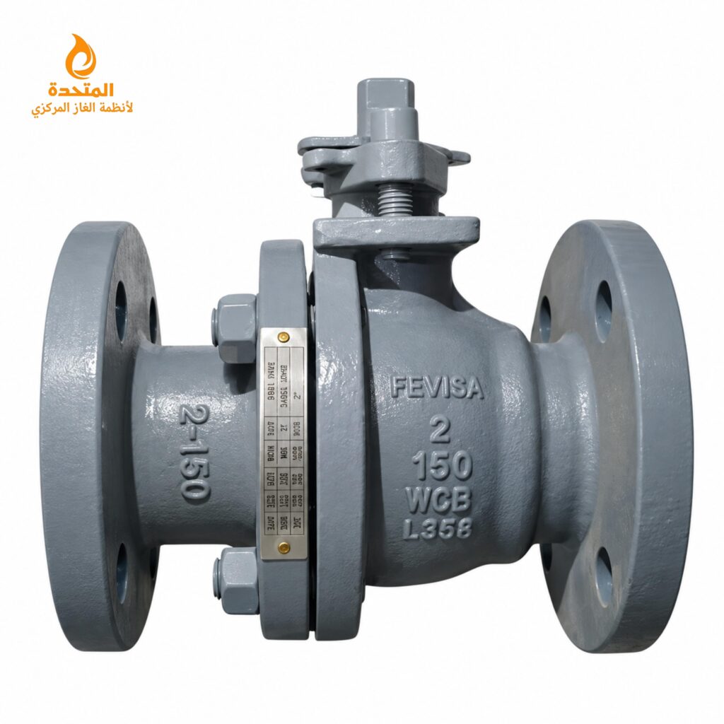 محبس غاز 2 بوصه FEVISA - WCB Class 150