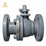 محبس غاز 2 بوصه FEVISA - WCB Class 150